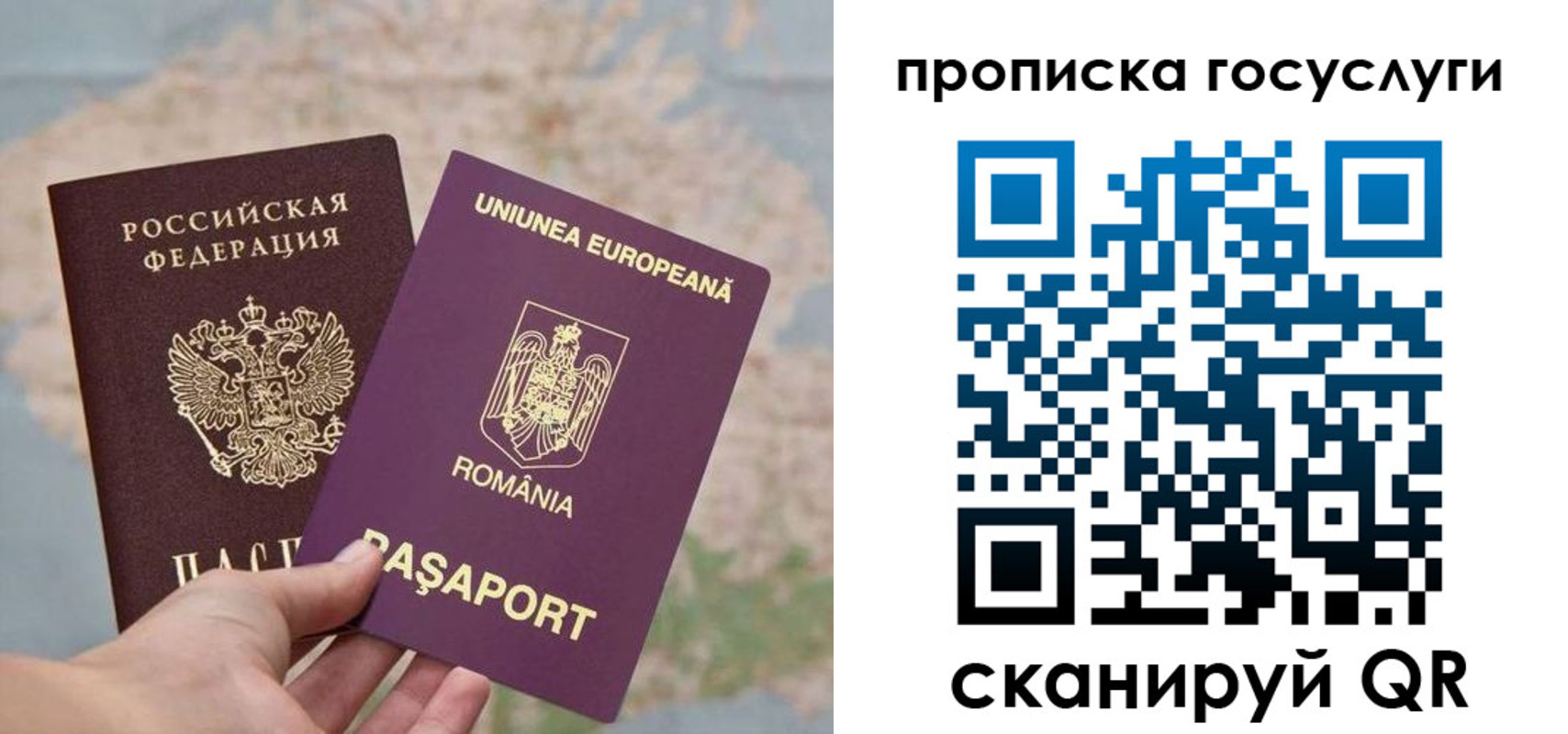 прописка паспорт в Звенигороде